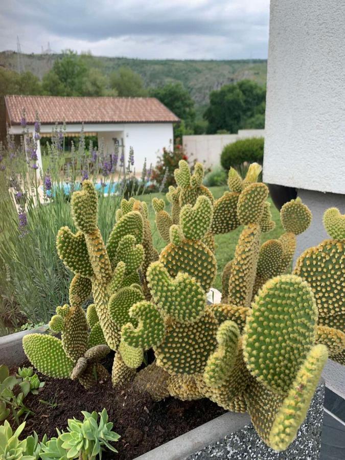 Villa Buna מראה חיצוני תמונה
